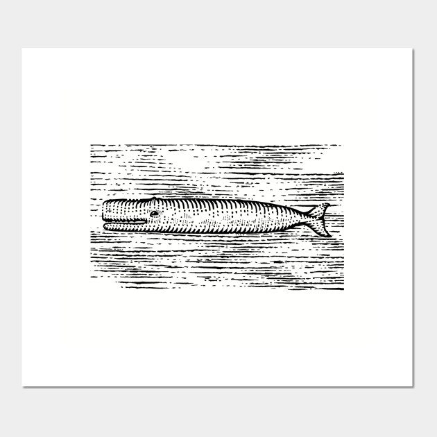 White Whale